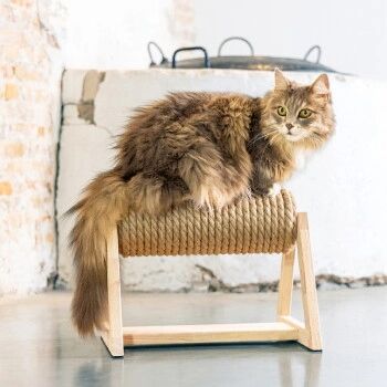 Designed by Lotte DBL Kratzbaum mit Fuß Yves