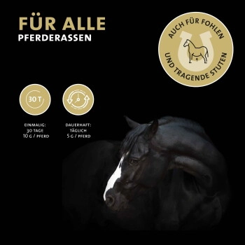 Peticare Ergänzungsfutter Hufe, Fell & Haut Pulver für Pferde 200g