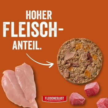 Fleischeslust Senior Huhn/Rind Alleinfutter Wurst Hund 6x800g