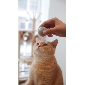 CHEERBLE BALL M1 - GRAY