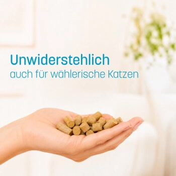 KatKare Hypo Weissfisch Essential 2x90 g