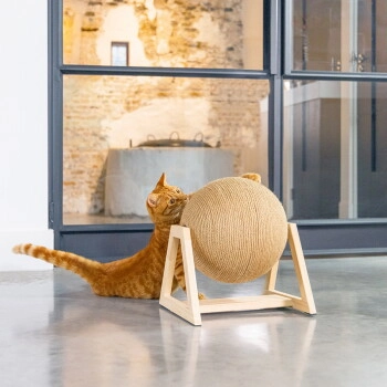 Designed by Lotte DBL Kratzball mit Fuß Xem