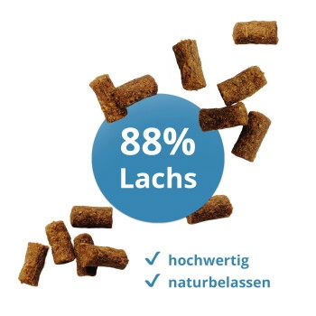 Wildsterne Bites 6x125g Lachs