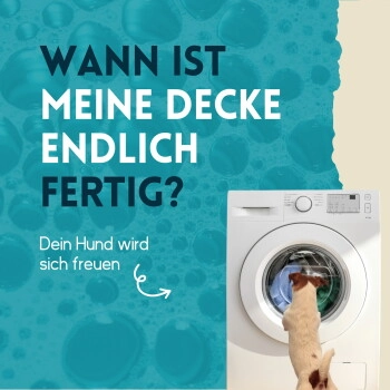 nimo Waschmittel für Hundebekleidung 5 l