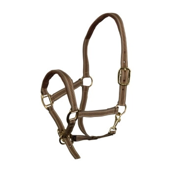 EQuest Halfter Dual Plus beige VB/ COB (Vollblut)