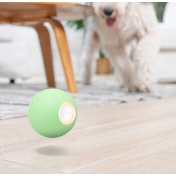 CHEERBLE WICKED BALL PE - GREEN