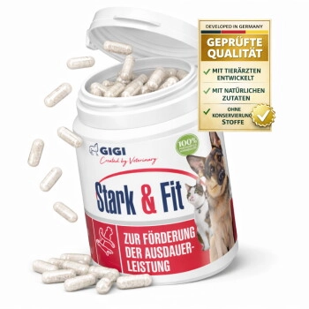 GIGI VET Stark & Fit 90 Stück