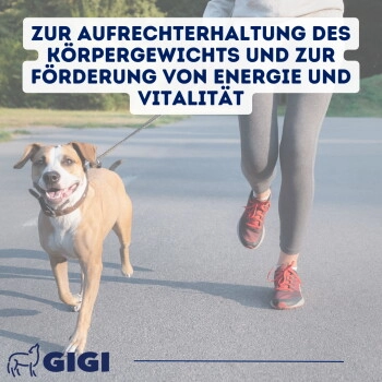 GIGI VET Stark & Fit 90 Stück