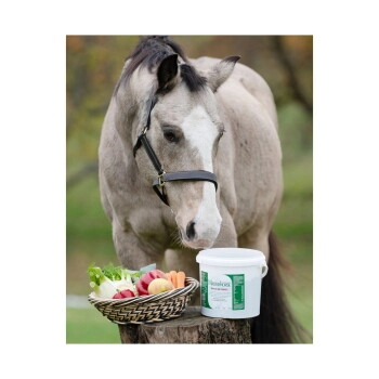 MASTERHORSE Mineralfutter Basis-Metabol 3 kg