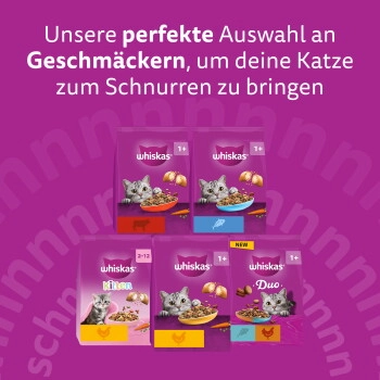 Whiskas Junior Huhn 2x7 kg