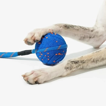 CHEERBLE WICKED BALL AIR ROPE-ROYAL BLUE