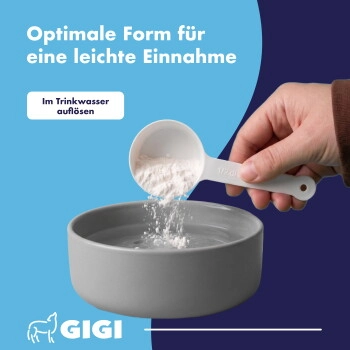 GIGI VET DENTAL CARE 100 g