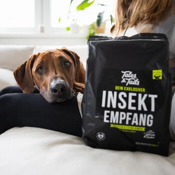 Tales & Tails Softes Trockenfutter Dein exklusiver InSektempfang 4 kg