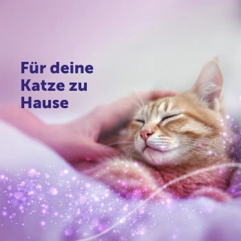 Feliway Classic 3x48ml Nachfüllflakon Vorteilspack zur Beruhigung