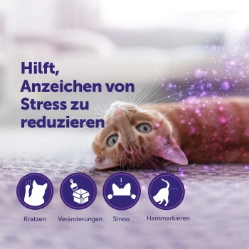 Feliway Classic 3x48ml Nachfüllflakon Vorteilspack zur Beruhigung