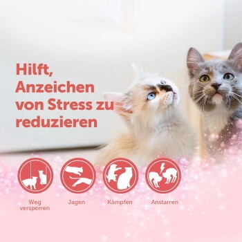 Feliway Friends 3x48ml Nachfüllflakon Vorteilspack reduziert Spannungen & Konflikte