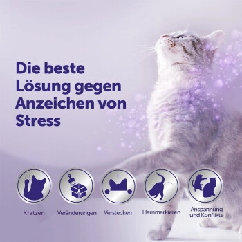 Feliway Optimum 3 x 48 Nachfüllflakon Vorteilspack