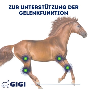 GIGI VET SynocurFlex Gelenke Für Pferde Pulver 450 g