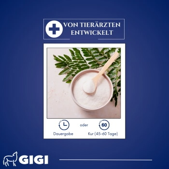 GIGI VET SynocurFlex Gelenke Für Pferde Pulver 450 g