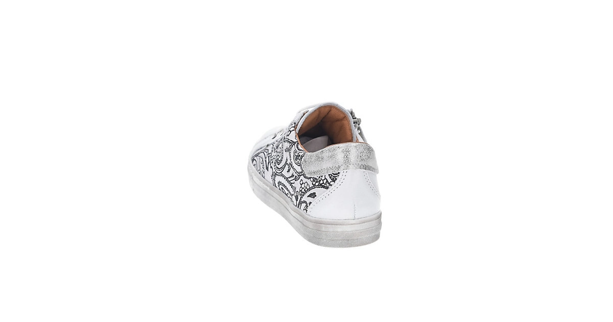 froddo® »Froddo G3130141« Sneaker