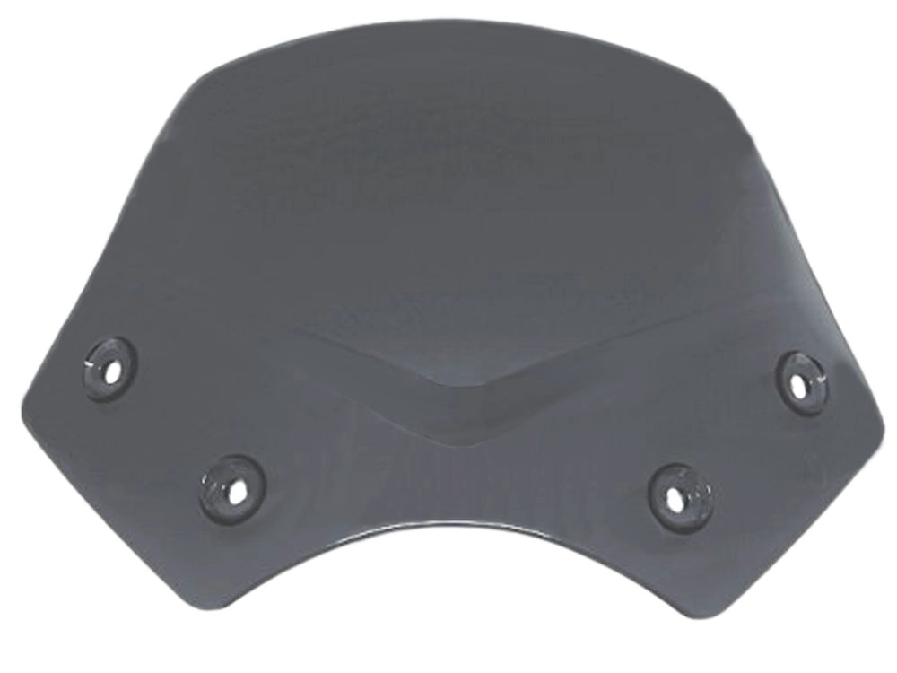 BMW Windschild Sport (getönt) R1200R