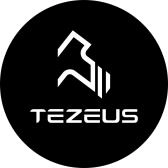 Tezeus Ebike